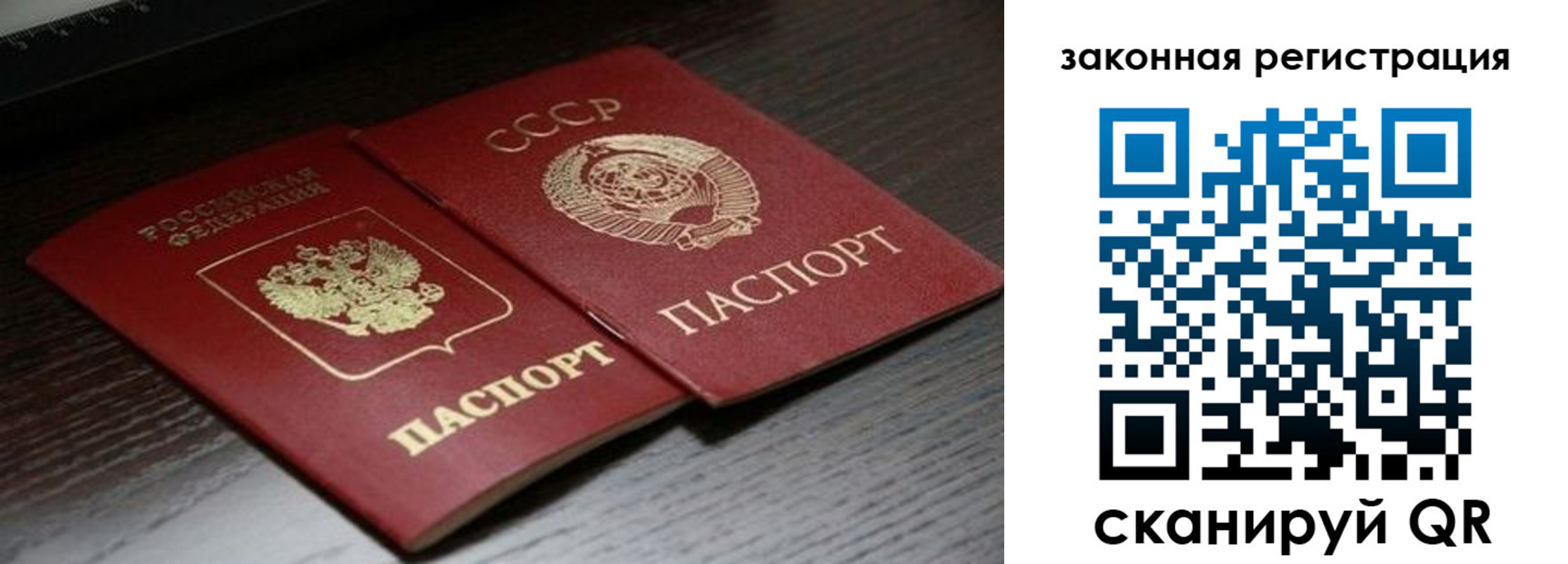 прописка поиск в Тынде